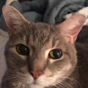 Meet your Posher, Kristen